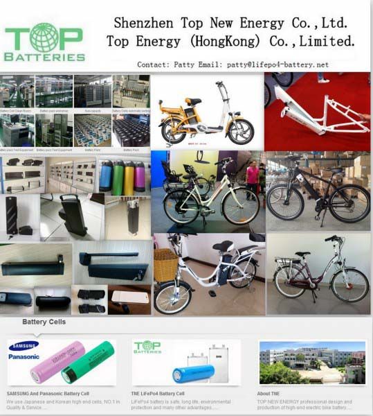 2014 TNE High Power Lifepo4 48V10AH ebike battery pack