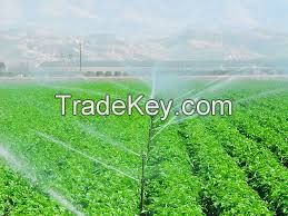 organic silicone surfactant/adjuvants for agrochemicals.