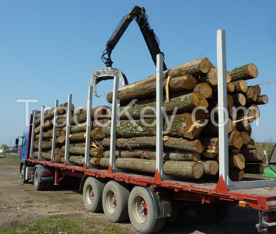 Basswood logs
