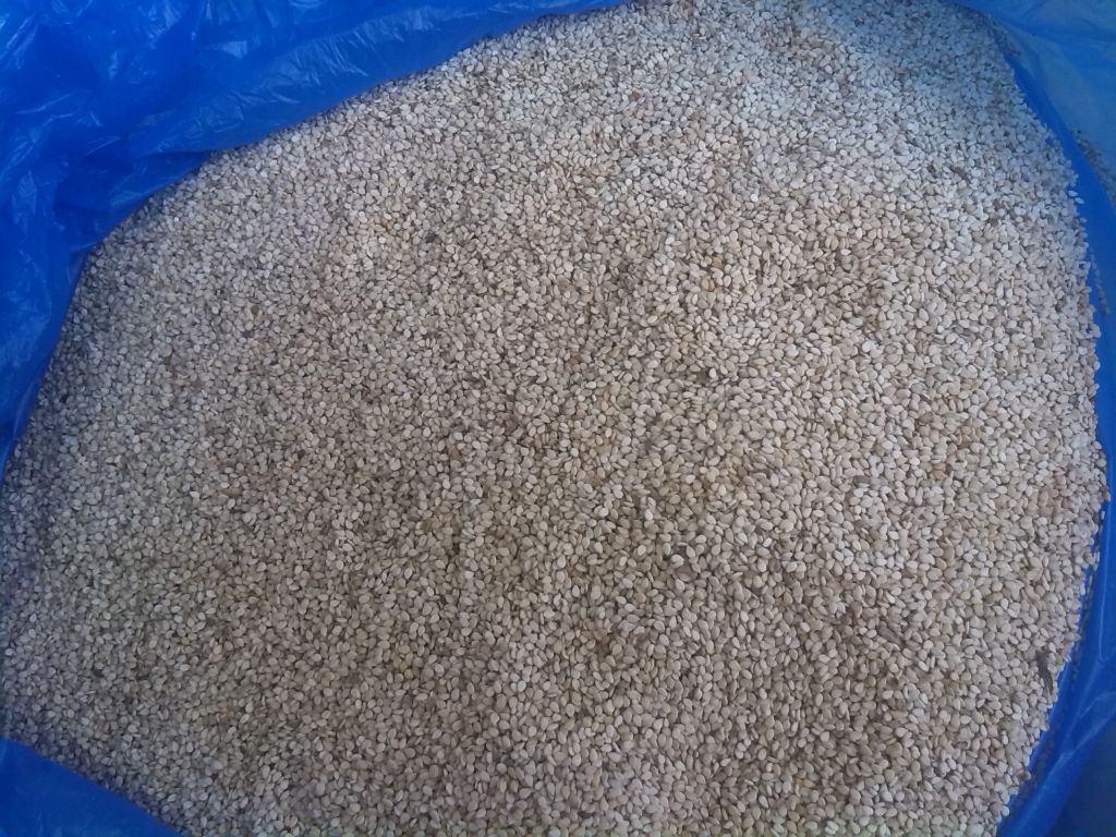 sesame seeds