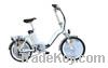 Folding Electric Bike with CE Certification