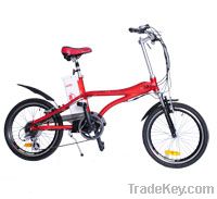 Professional Lithium Battery Electric Bike
