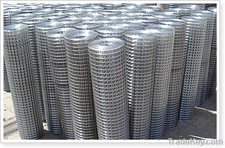 galvanized welded wire mesh