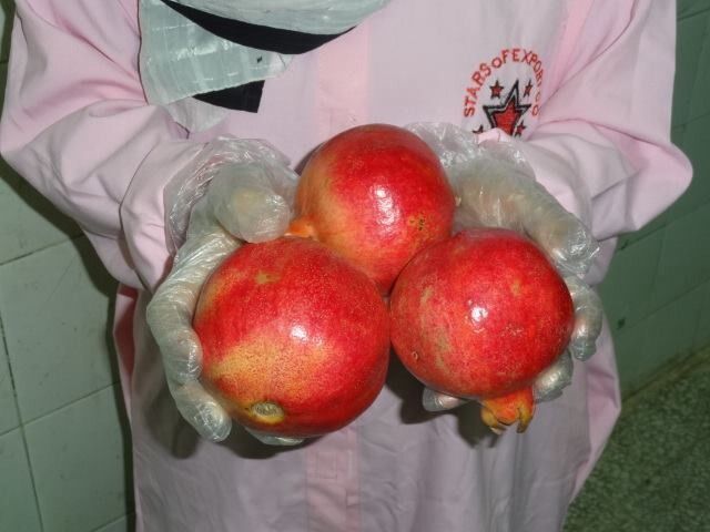 fresh pomegranates