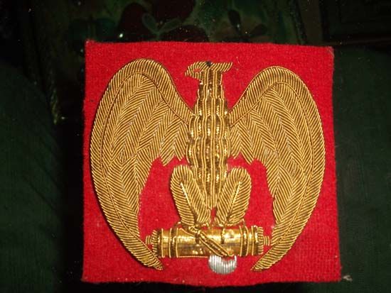 Italian Fascist Badges & Military Uniforms Badges