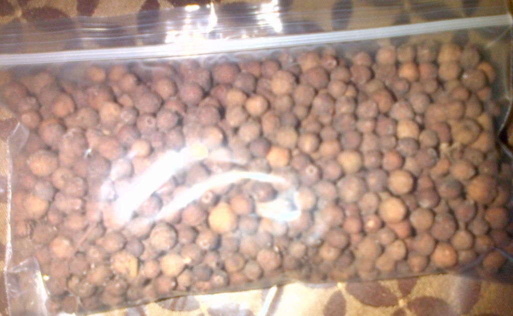 100% Jamaican Allspice / Pimento Seeds