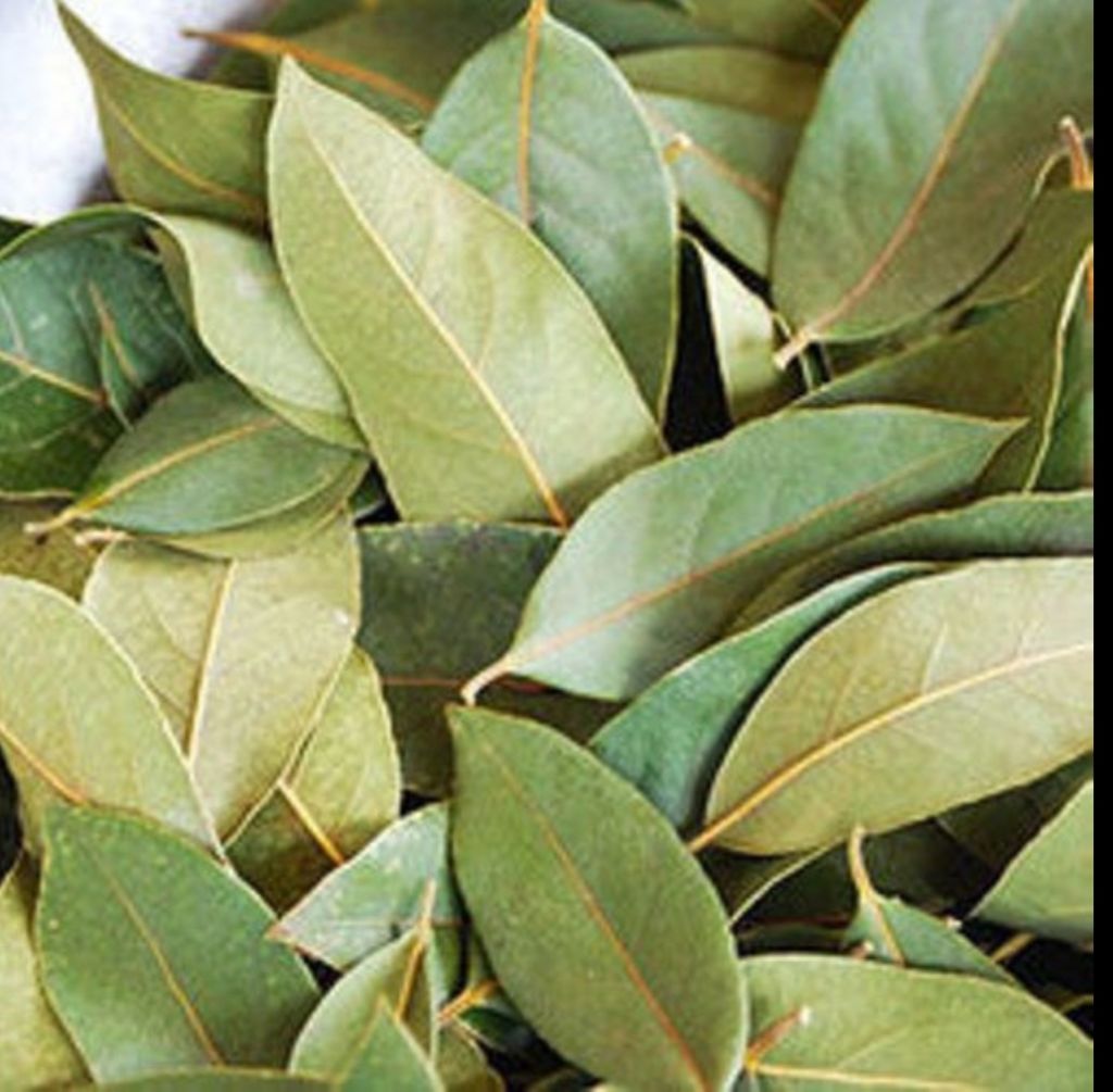 Jamaican Pimento Leaves /allspice leaves