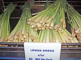 fresh lemongrass