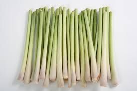 fresh lemongrass