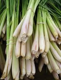 fresh lemongrass