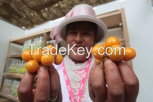 Goldenberry from Peru