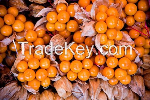 Goldenberry from Peru