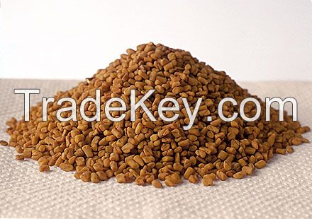 fenugreek seed