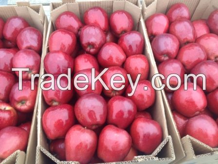 Fresh apple fruit