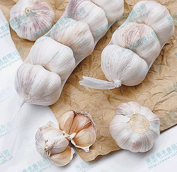high quality fresh garlic from China 5.0cm 5.5cm