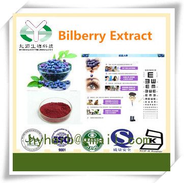 Manufacturer supply wild bilberry extract 