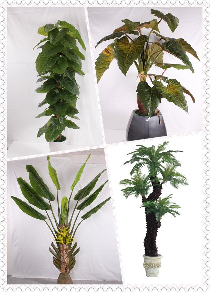 Artificial potted plants taro root plant, artificial scindapsus aureus tree bonsai/banana tree/rainbow plant/flocked kwai/bonsai plant