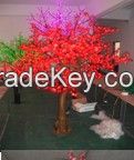 Simulation cherry trees   675L