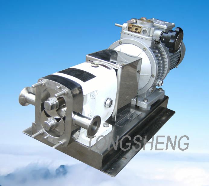double-rotor lobe pump (CE approved)  