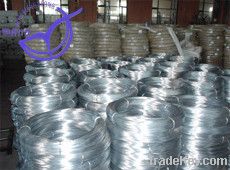 Galvanized Wire