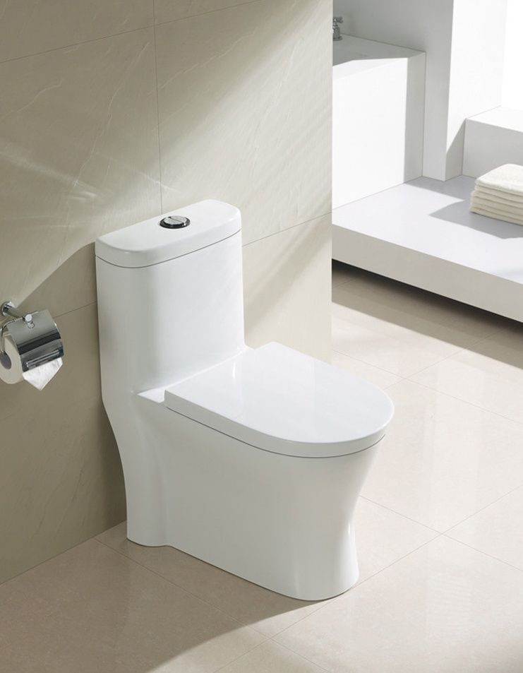 Sighonic ceramic toilet with water box and toilet cover