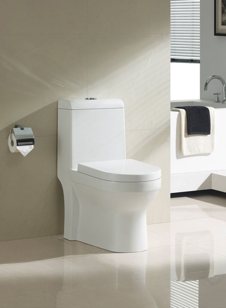 Sighonic one-piece toilet, made of ceramic
