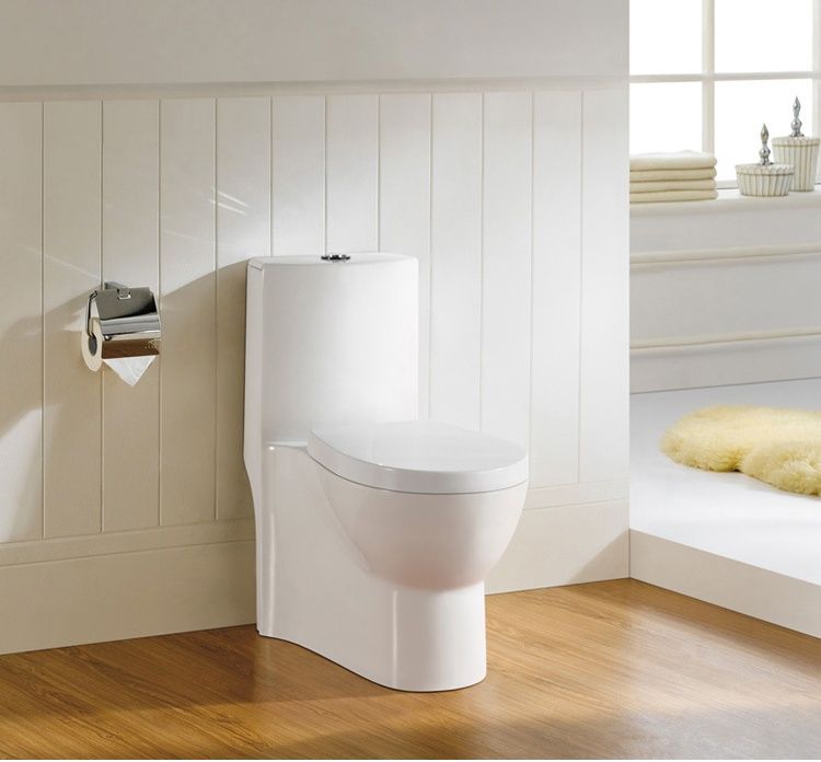 Sighonic ceramic toilet with water box and toilet cover