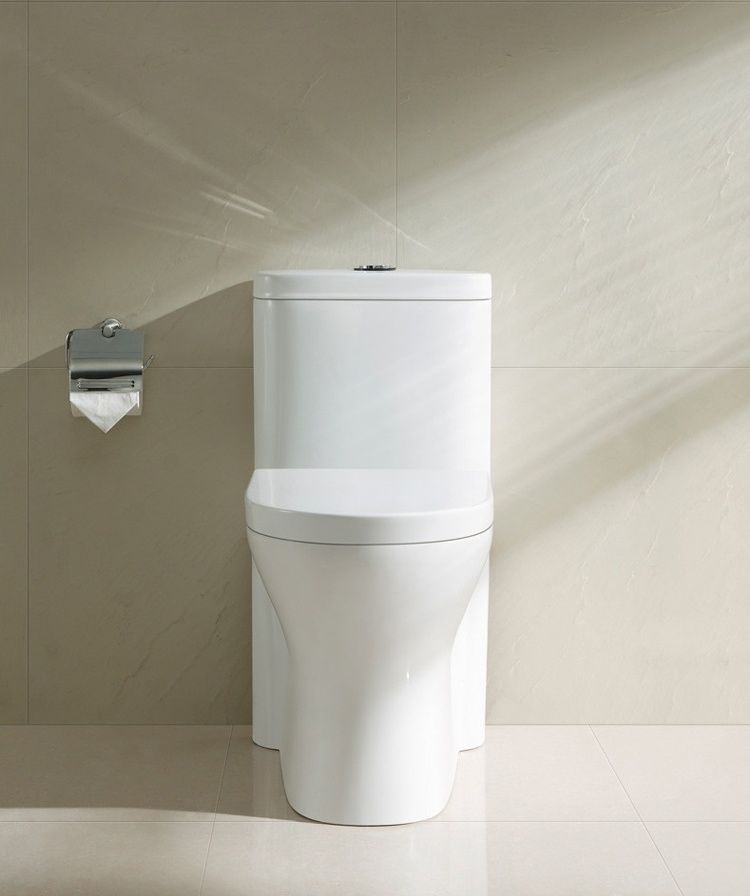 Sighonic ceramic toilet with water box and toilet cover