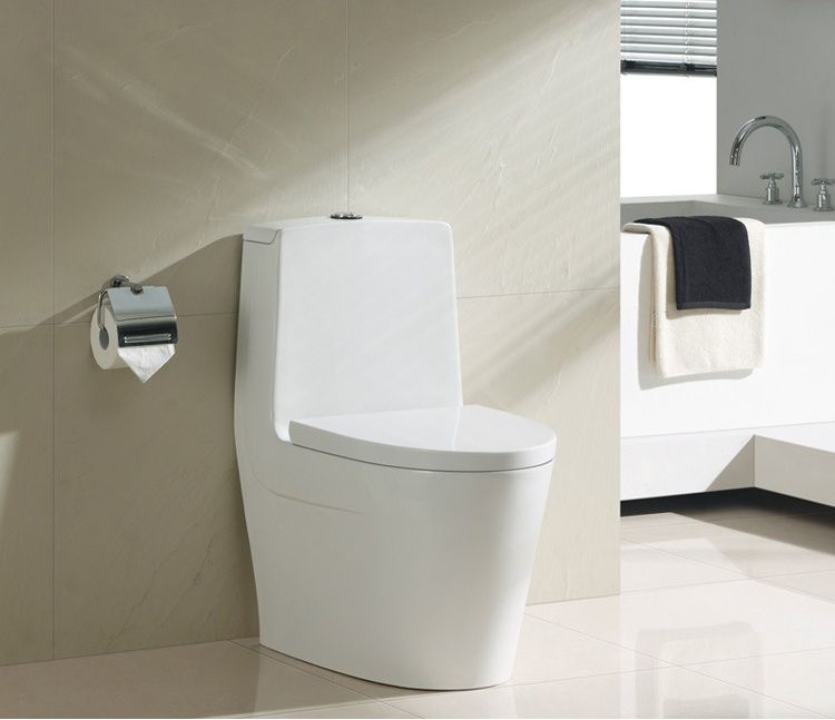 Sighonic one-piece toilet,made of ceramic