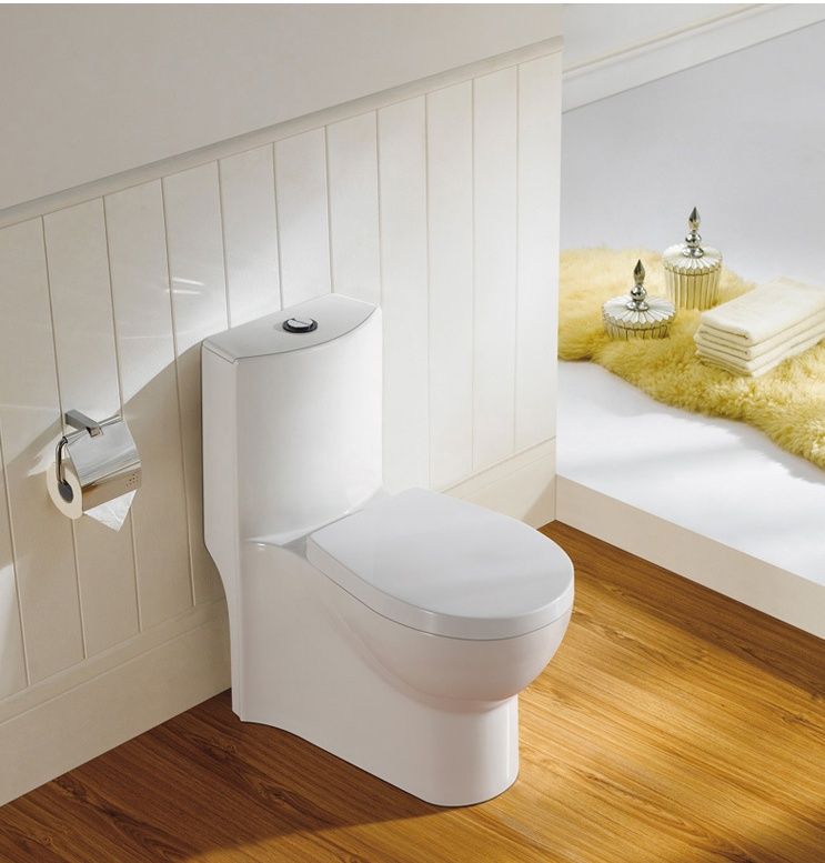 Sighonic ceramic toilet with water box and toilet cover