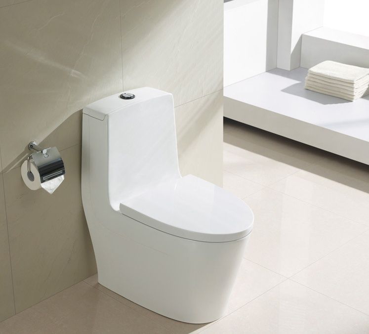 Sighonic one-piece toilet,made of ceramic