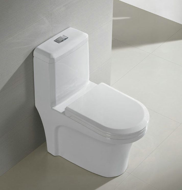 Sighonic ceramic toilet with water box and toilet cover