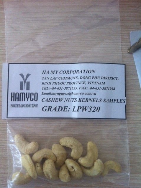 cashew nut