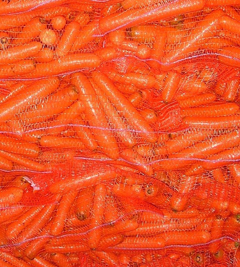 Fresh Carrots