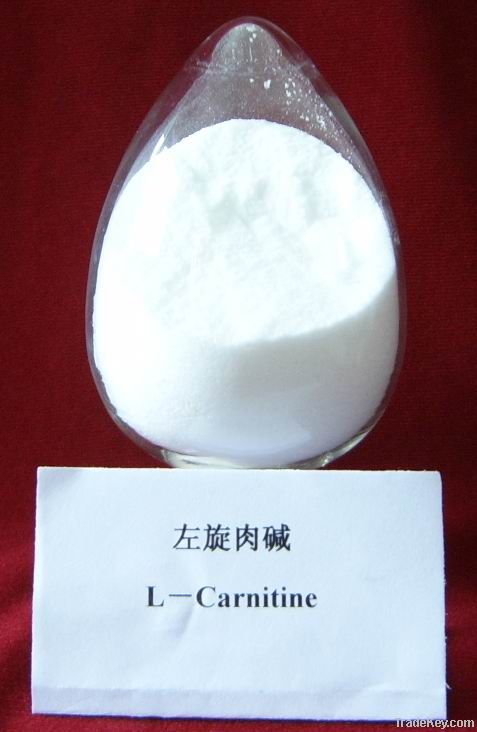 L-Carnitine EP/USP