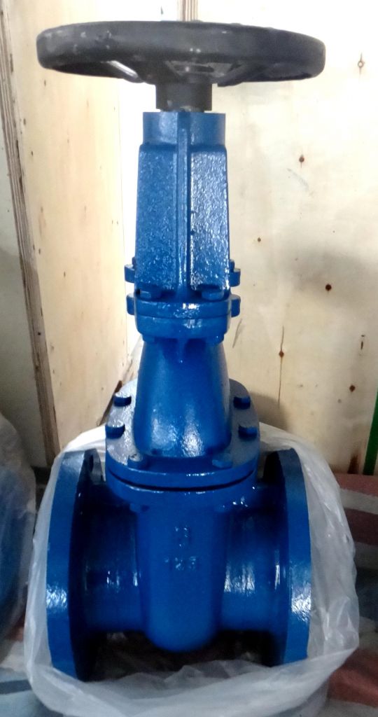 ANSI-125/150 CAST IRON GATE VALVE(RISING STEM) 