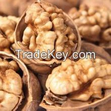 Walnut & Walnut Kernel for sale/New crop Wholesale Walnut kernel price