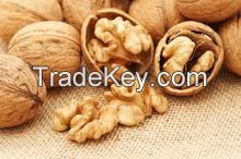 high quality raw walnuts with shell/without shell, Almond Nuts, Coffee Beans, Soybeans, Vanilla Beans, Apricot Kernels, Betel Nuts, Brazil Nuts, Chestnuts, Ginkgo Nuts, Hazelnuts, Macadamia Nuts, Bold Peanuts Blanch Peanuts Red skin peanutsÂ &A