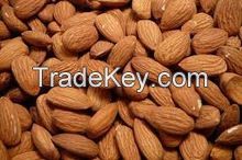 Fresh Almond/Raw Organic Almond Grade A Hot Sales