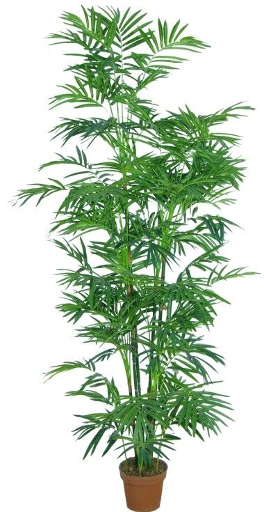 Artificial Plants Bamboo kwai