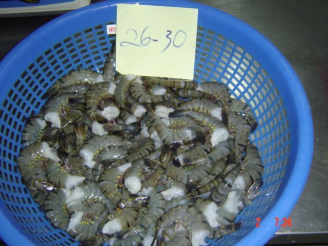 HLSO (Headless Shell on) Black Tiger Shrimp