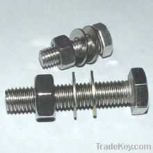 stainless Steel Bolts