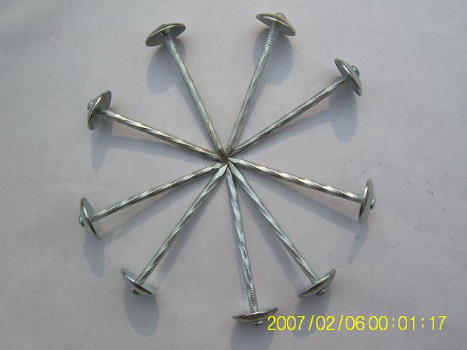 Common Round Wire Nails