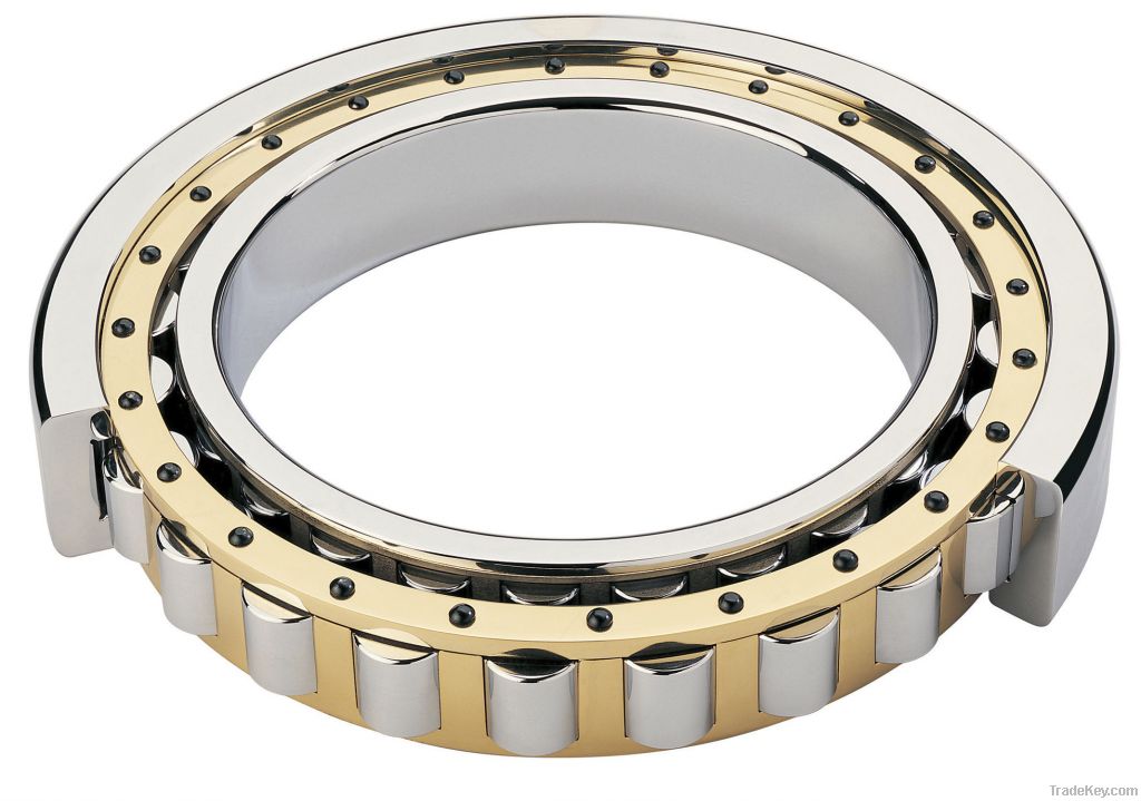 Export Cylindrical Roller Bearing