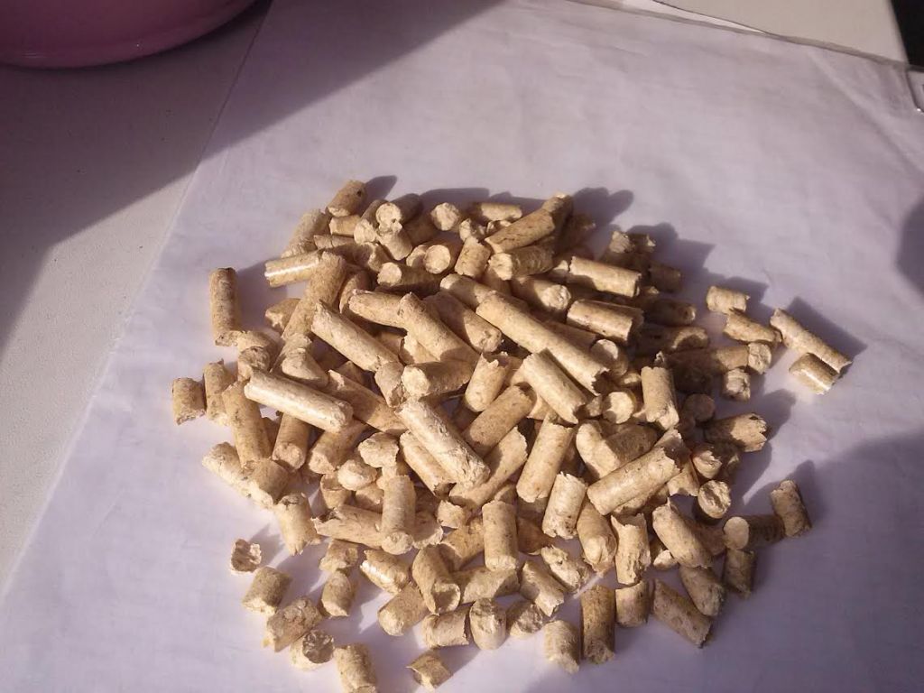 Wood pellet