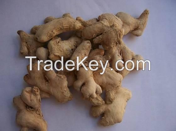 Dried ginger