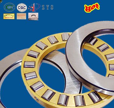 Cylindrical roller thrust bearings