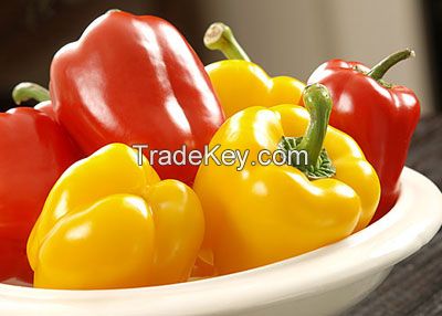 Capsicum