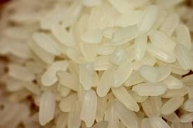 RICE SUPPLIER| PARBOILED RICE IMPORTERS | BASMATI RICE EXPORTER| KERNAL RICE WHOLESALER| WHITE RICE MANUFACTURER| LONG GRAIN TRADER| BROKEN RICE BUYER | IMPORT BASMATI RICE| BUY KERNAL RICE| WHOLESALE WHITE RICE| LOW PRICE LONG GRAIN