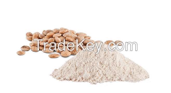 Peruvian Sacha Inchi - Nuts and Powder